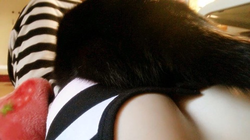 【晒】黑白睡衣_来自苏菲的自拍私房照分享